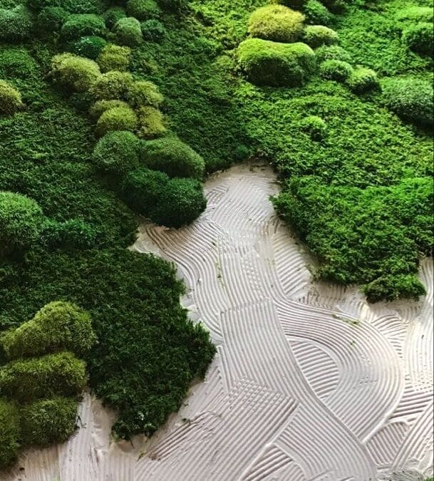 Mur végétal stabilisé : une décoration durable et sans entretien