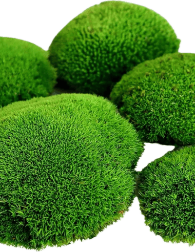 Mousse boule verte stabilise
