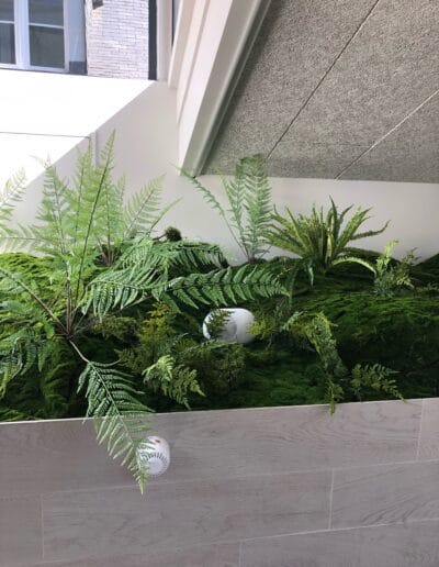 création d’un massif dans une ambiance sous bois avec des fougères synthétiques et de la mousse