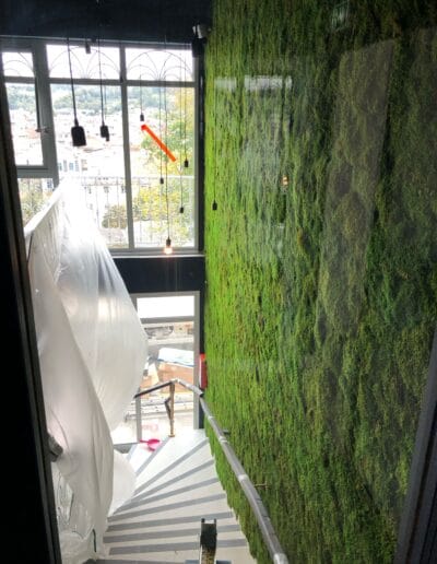 Installation d’un mur végétal stabilise en mousse dans une cage d’escalier pour une ambiance de sous bois