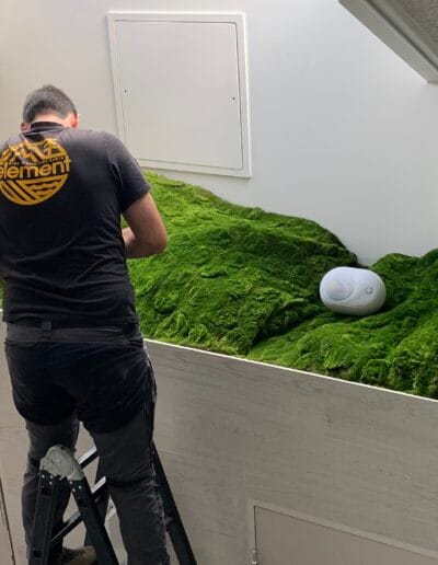 Installation scénographie végétal