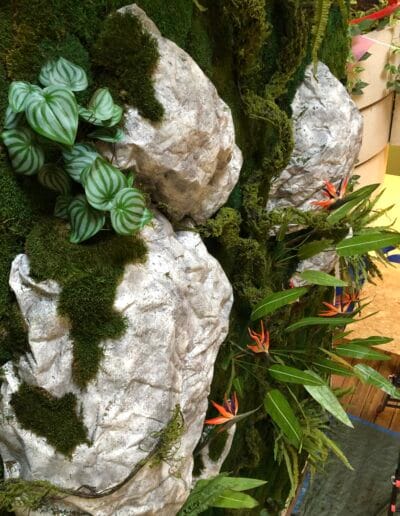 Mur végétal stabilise ambiance forêt tropicale